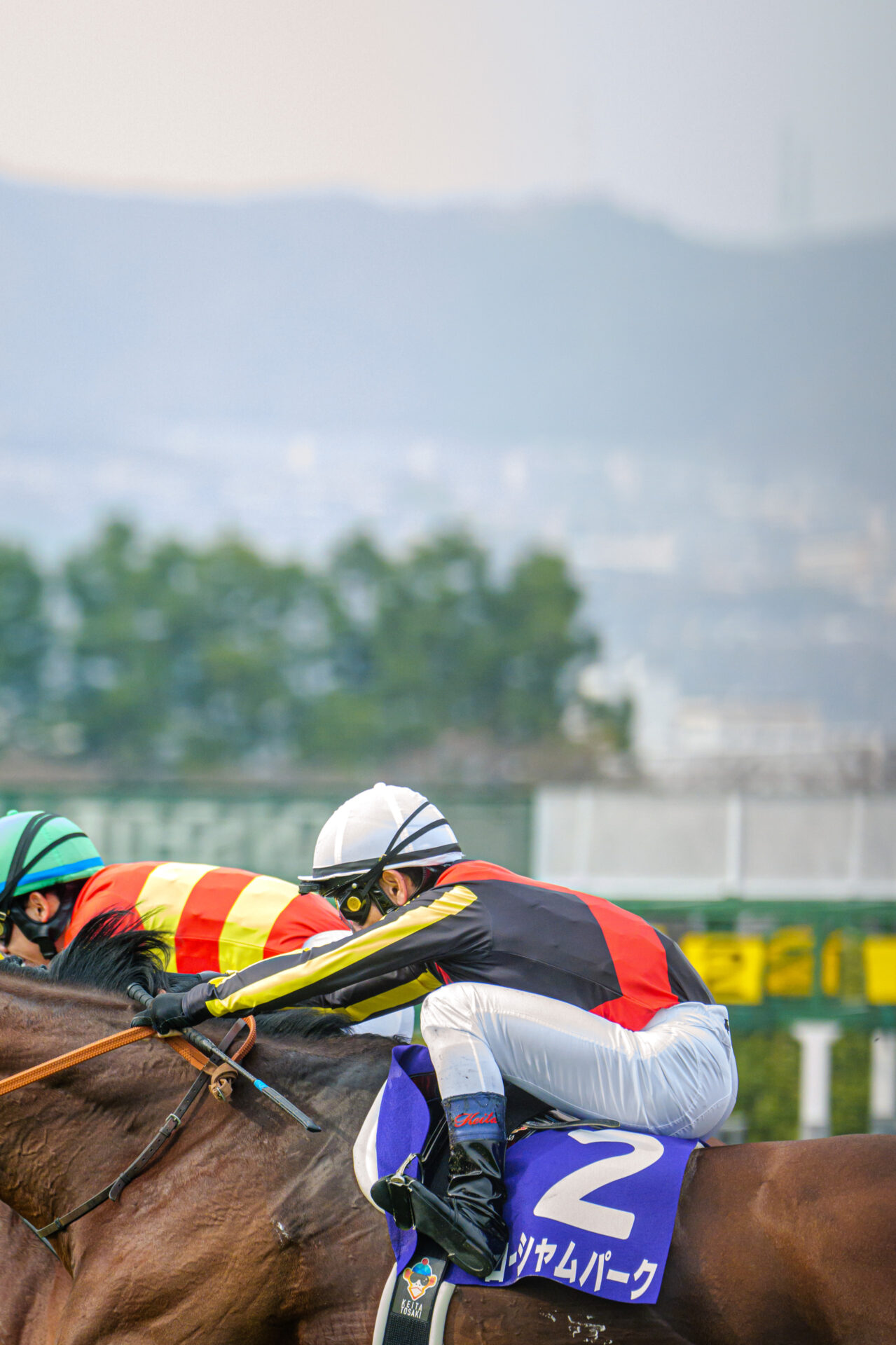 2024.03.31 阪神競馬場 大阪杯 (G1)